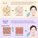 동남바이오 | 엘앤씨바이오(feat.제2의 리쥬란?)