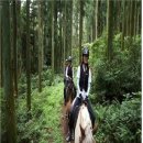 의귀리농촌체험휴양마을 이미지