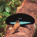 프럼스마일 이미지