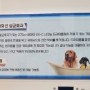 멍라이프 이미지