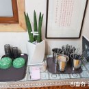 칠곡분식