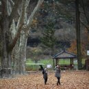 임고초등학교 이미지