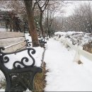 초원목장B 이미지