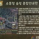 [테마 2024년6월15일 토요일]고성 북설악 소똥령 숲길&라벤터 축제 트레킹 안내 이미지