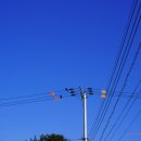 장동초교 이미지