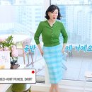최화정 카카오 검색결과