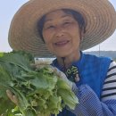 순애농장 이미지