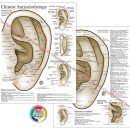 귀를 통한 건강관리 | 귀를 보면 전신 건강이 보인다? 이혈테라피