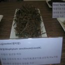 바이오스케치 이미지