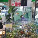 우진아쿠아 이미지