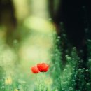 마음편한심리상담센터 이미지