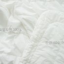 연희침장