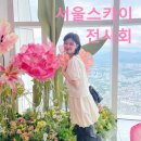 비 오는 날 실내 데이트하기 좋은 서울스카이 플라워 전시회 후기