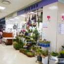 롯데웰치과의원 이미지