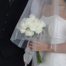 브런치&디저트(기술과정 / 야간) | 준 이천부케 추천! 분홍 장미부케와 거베라4송이, 헤어변형 꽃 서비스까지 완벽했던 촬영부케 솔직후기