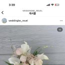 웨딩비르우엘