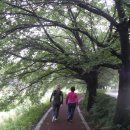 길사이언스 이미지