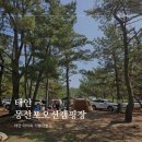 자연속캠핑장 | 아이와 자연 속 힐링! 태안 몽산포오션캠핑장 리얼 후기