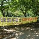 빙계군립공원(빙산사지오층석탑) 이미지