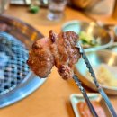 정직한고기