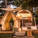 더 파인트리 이미지