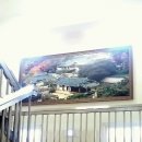 안기천로 이미지