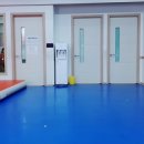 용인대 한뫼 태권도장 이미지