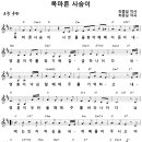 목마른 사슴이 / 목마른 사슴이 시냇물을 찾아 [최종길 30주년 기념앨범] 이미지