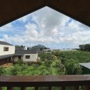 그리니제주 이미지