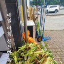 제천사랑공인중개사사무소 | &#34;제천 이마트 앞에서 만나는 여름의 맛, 삶은 옥수수 이야기&#34;