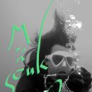 코코앤잭슨 이미지