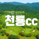청룡부동산중개 | ※ 충청권 명문 골프장 탐방~! 천룡cc 골프장 상세정보와 회원권 시세 현황을 안내해 드립니다.