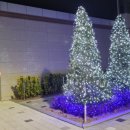 천년나무3단지 앞 이미지