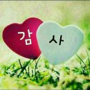 우리집강아지 이미지