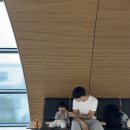 답다니언덕집 | 14개월 하루랑 3박4일 제주여행 ep01 : 답다니언덕집,잔물결,풀베게,스타빌수영장