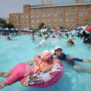 서울숭례초등학교 이미지