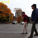 [토론토 10월 초-가을] 사진으로 보는 옷차림! 그리고 날씨정보 이미지