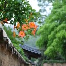 녹색대학문고 이미지