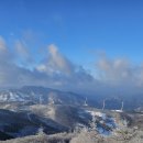 강원 정선군 함백산(咸白山.1,572.9m) 이미지