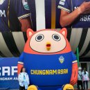 pet370다8931 | 충남아산vs대구FC 충남아산원정경기 직관후기