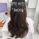숲머리 이미지