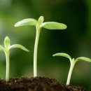 SB휘트니스 이미지