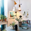 플랜테리어 홈가드닝 이미지