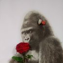 화순전통시장(화순읍전통시장) 이미지