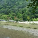 백낙제 플랫하우스 이미지