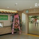 효다함요양원 네이버블로그