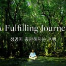 Re: [야쿠시마 섬 | Yakushima] A Fulfilling Journey | 생명이 충만해지는 여행 이미지