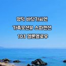 영덕바닷가씨엔가족오션뷰스파펜션