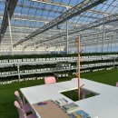 월드농장 이미지