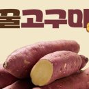 꿀이농장 이미지